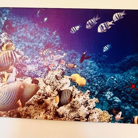 Casa Vacanza Cuto 바게리아 외부 사진