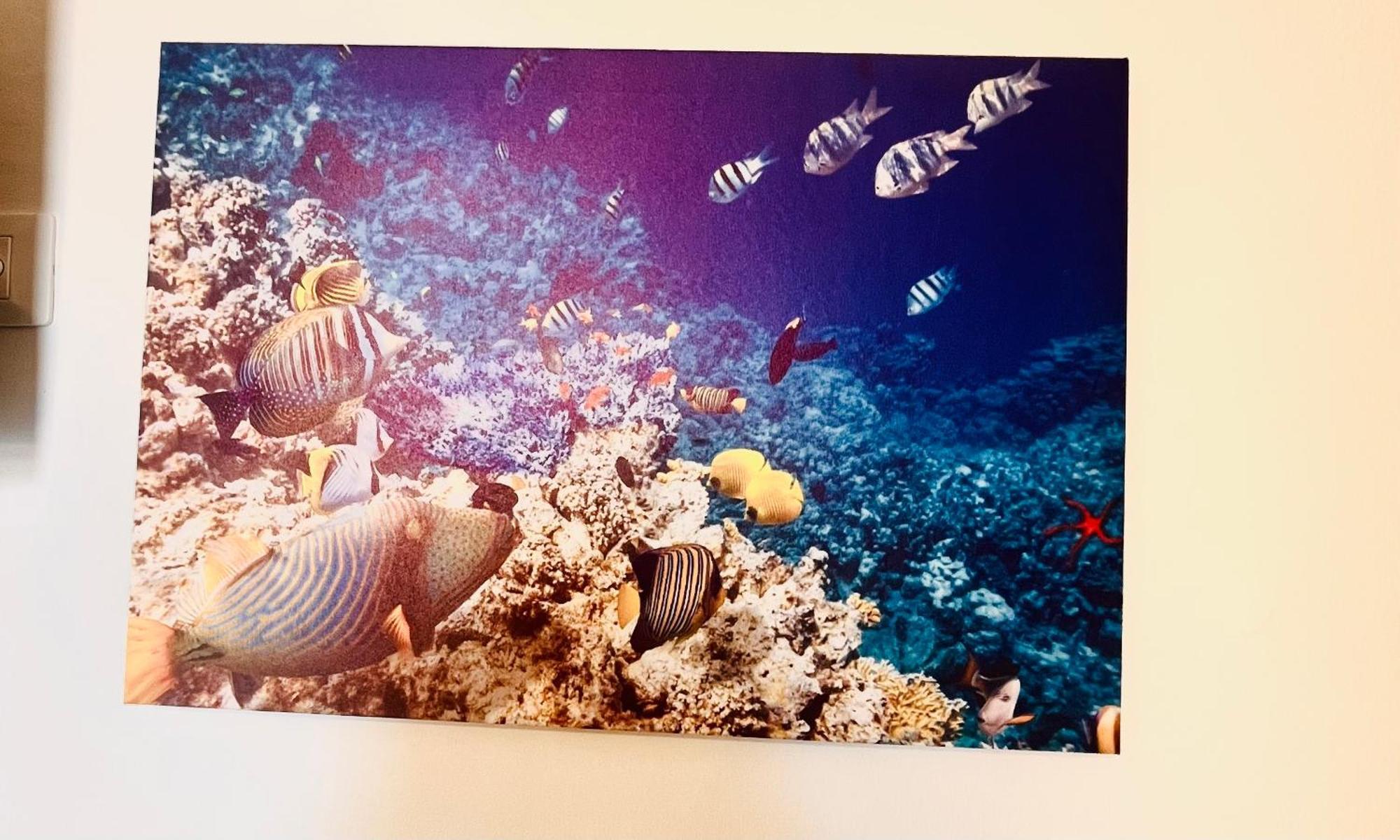 Casa Vacanza Cuto 바게리아 외부 사진
